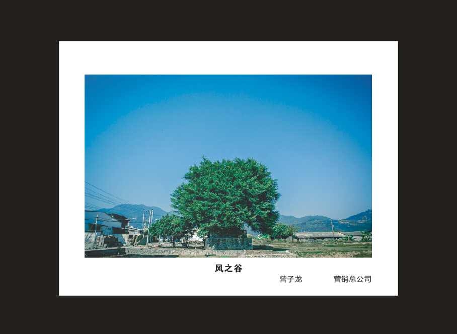 江南游戏智能成立16周年司庆活动“魅力江南游戏”摄影比赛优秀作品展