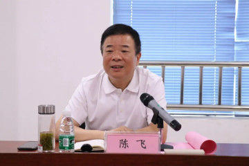 副省长陈飞调研江南游戏航空产业