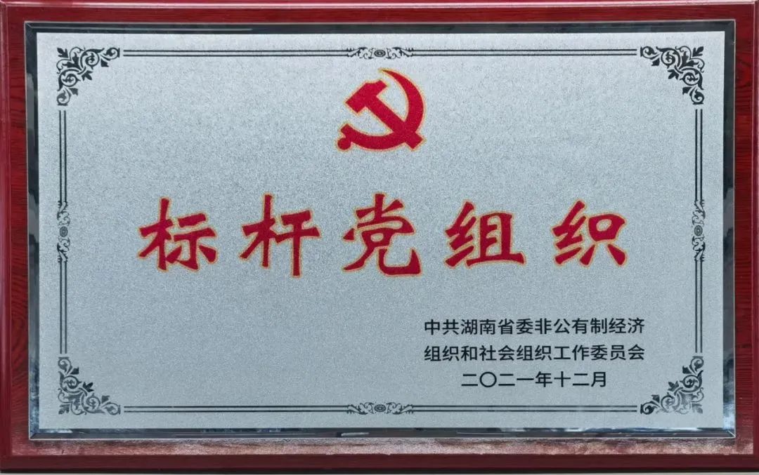 党建品牌亮起来！江南游戏智能党委获评“标杆党组织”